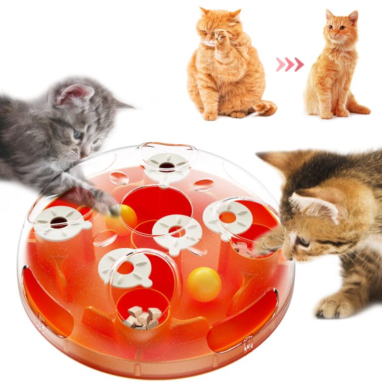 Como escolher brinquedos seguros para cães e gatos